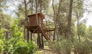 Sale Property Simiane-Collongue