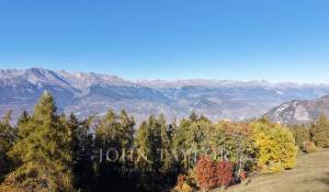 Sale Property Sion