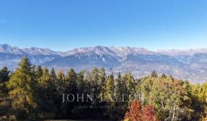 Sale Property Sion