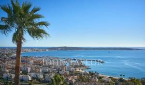Sale Property Vallauris