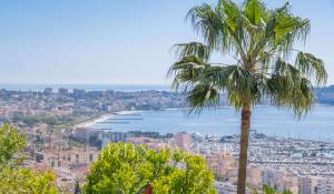 Sale Property Vallauris