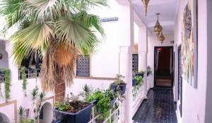 Sale Riad Marrakech