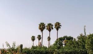 Sale Riad Marrakech