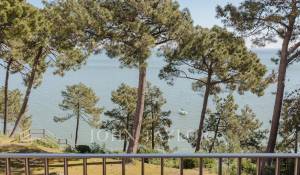 Sale Triplex Cap-Ferret