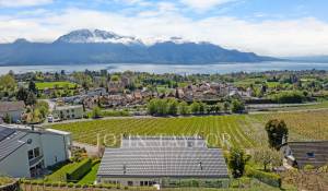 Sale Twin Villa Chailly-Montreux