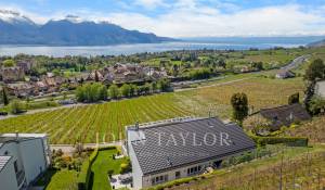 Sale Twin Villa Chailly-Montreux
