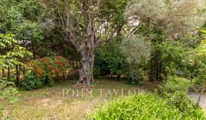 Sale Villa Antibes