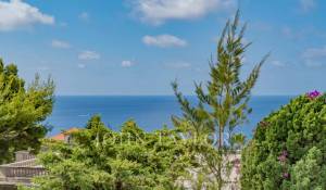 Sale Villa Cap-d'Ail