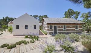 Sale Villa Carvalhal