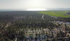 Sale Villa Carvalhal