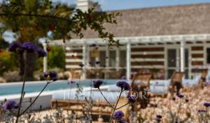 Sale Villa Carvalhal