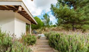 Sale Villa Grândola e Santa Margarida da Serra