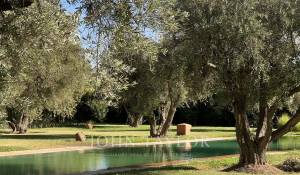 Sale Villa Marrakech