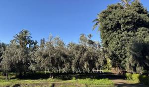 Sale Villa Marrakech