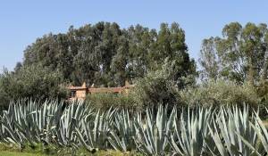 Sale Villa Marrakech