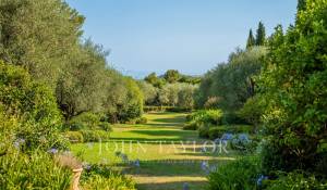 Sale Villa Mougins