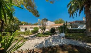 Sale Villa Mougins