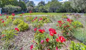 Sale Villa Mougins