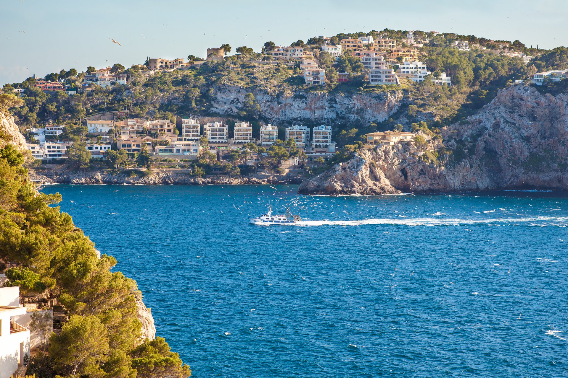 Ad Sale Villa Port d'Andratx (07157) refV0191SP