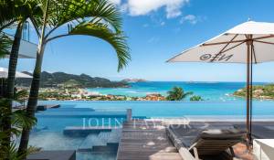 Sale Villa Saint-Barthélemy
