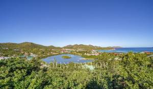 Sale Villa Saint-Barthélemy