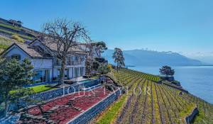 Sale Villa Saint-Saphorin