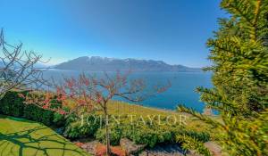 Sale Villa Saint-Saphorin