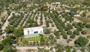 Sale Villa Santa María del Camí