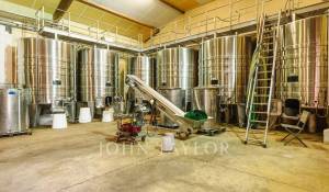 Sale Vineyard property Bordeaux