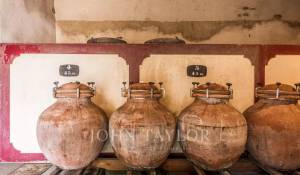 Sale Vineyard property Bordeaux