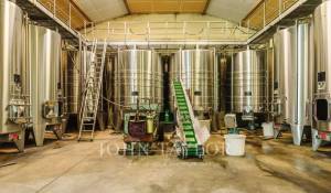 Sale Vineyard property Bordeaux