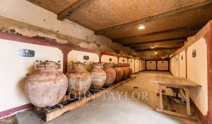 Sale Vineyard property Bordeaux