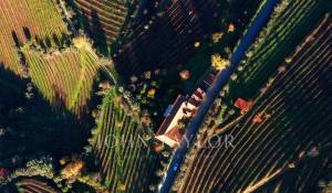 Sale Vineyard property Cambres