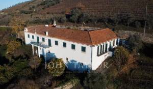 Sale Vineyard property Cambres