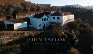 Sale Vineyard property Cambres