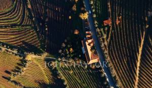 Sale Vineyard property Cambres