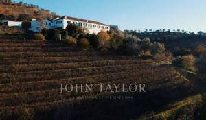 Sale Vineyard property Cambres