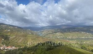 Sale Vineyard property Cambres
