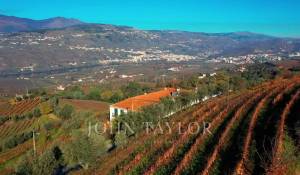 Sale Vineyard property Cambres