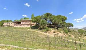Sale Vineyard property Cuenca