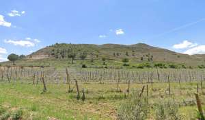 Sale Vineyard property Cuenca