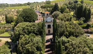 Sale Vineyard property Firenze