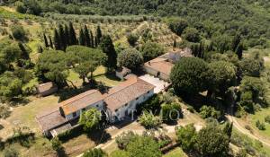 Sale Vineyard property Firenze