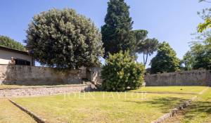 Sale Vineyard property Firenze