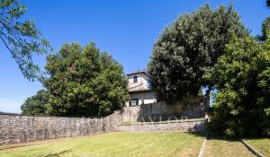 Sale Vineyard property Firenze