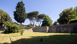 Sale Vineyard property Firenze