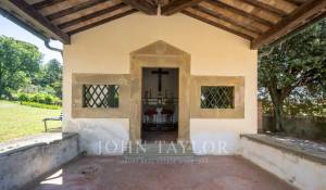 Sale Vineyard property Firenze