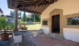 Sale Vineyard property Firenze