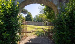 Sale Vineyard property Firenze