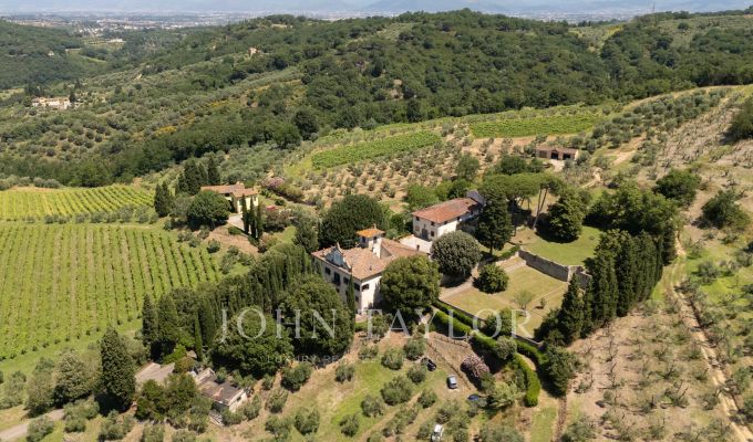 Sale Vineyard property Firenze